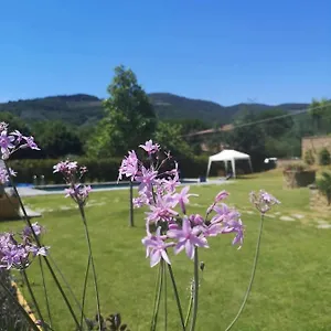 Alba Morus Sentiti A Casa Nel Cuo Couette-café